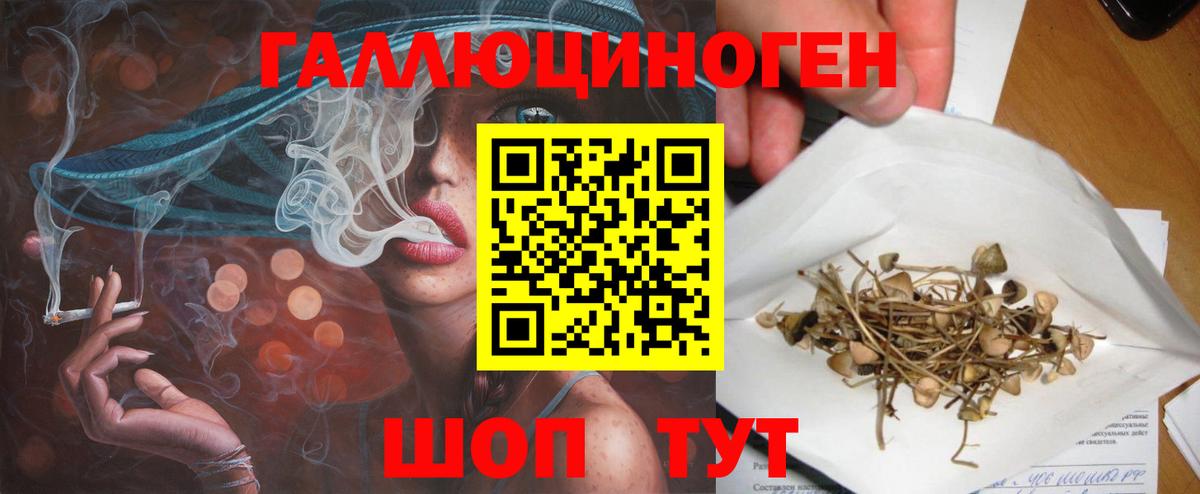 Мирный  Галлюциногенные грибы прущие грибы  Вход с VPN  Галлюциногенные грибы прущие грибы 